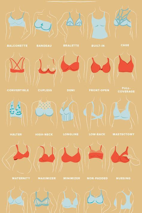 perky breasts meaning|The 10 Types of Boobs — Heres What to Know, According to Ob。